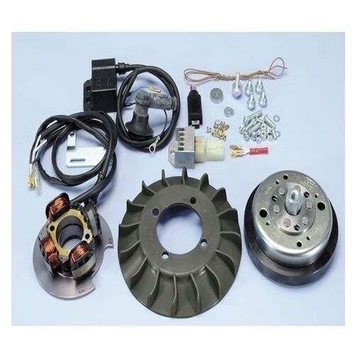 POLINI ACCENSIONE VESPA 125 ET3 CONO D.19 (VOLANO KG.1,2)